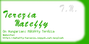 terezia mateffy business card