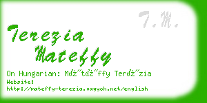 terezia mateffy business card